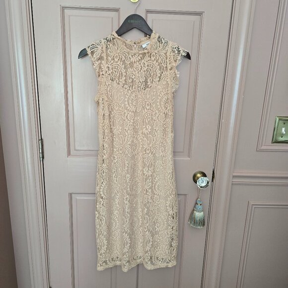 Bar III Dresses & Skirts - Bar III Blush Pink Lace Dress Size L